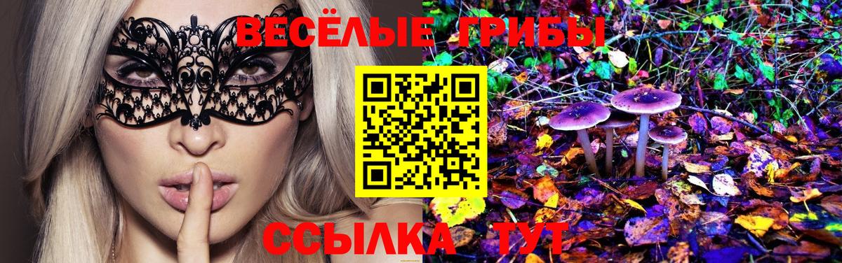 Псилоцибиновые грибы Psilocybine cubensis Гулькевичи