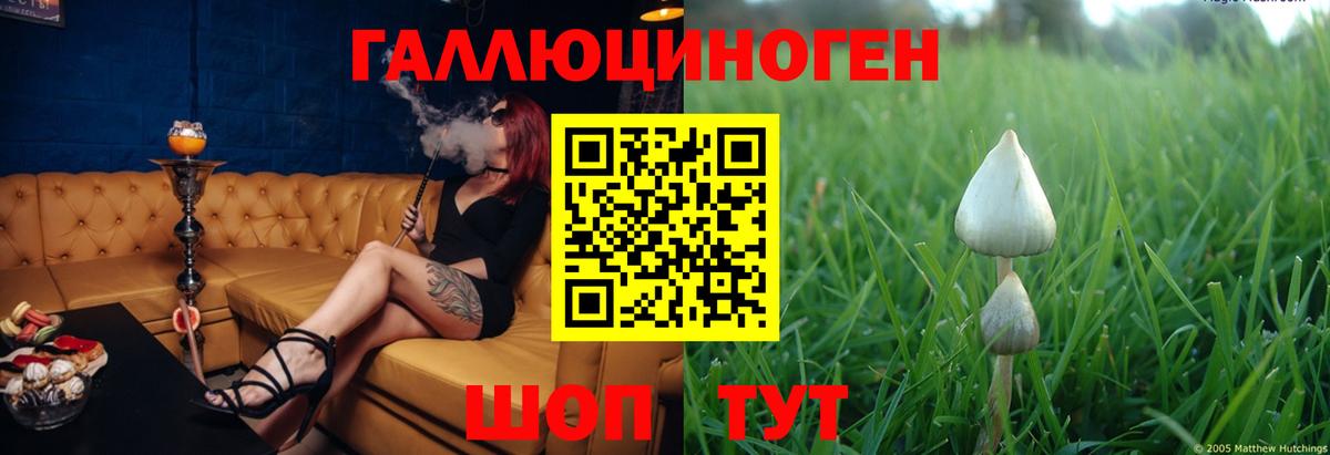 Гулькевичи  Псилоцибиновые грибы мицелий  Вход с VPN 